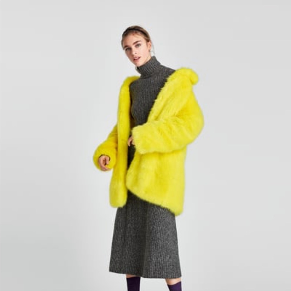 Zara Ribbed Turtleneck Dress